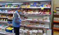 بازدید مشترک بهداشت محیط و دامپزشکی 